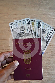 TRAVEL DECUMENTS_EUROPEAN PASSPORT_DOLLARS