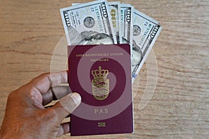 TRAVEL DECUMENTS_EUROPEAN PASSPORT_DOLLARS