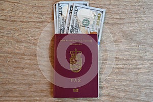 TRAVEL DECUMENTS_EUROPEAN PASSPORT_DOLLARS