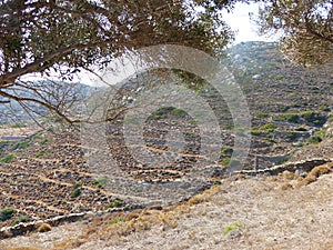 Wild nature inland Amorgos in Greece.