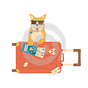 Travel with dog. Corgi in sunglasses with passport, flight tickets and suitcase isolated on white background. Trip for adventure