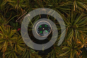 Travel, hiking, orienteering and navigation concept - black magnetic compass lies in pine branches, close-up