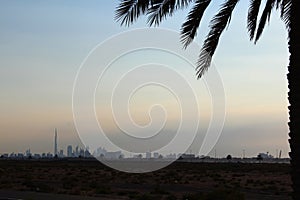 Travel holiday Dubai skyline burj khalifa airplane skylne sky date palm tree silhouette