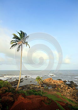 Windy weather at coastal India