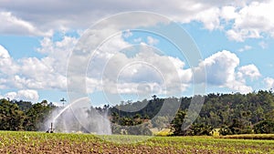 Travel Irrigation Watering Sugar Cane Crop