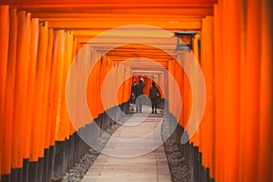 Travel Japan, Torii Gateways in Fushimi Inari Taisha Shrine photo