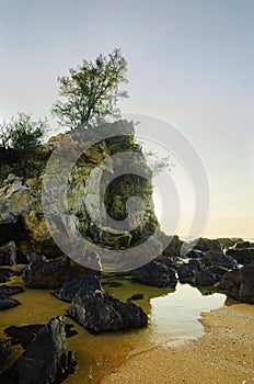 Groyne and beautiful sea view scenery over stunning sunrise