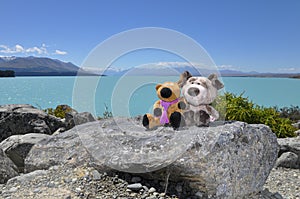 Travel mascots posed at Lake Pukaki on South Island New Zealand