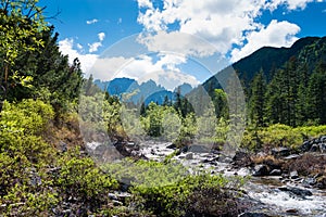 Travel the mountains Dusse Alin Russia far East Khabarovsk Krai. Rapid Creek a Creek in the mountains of Dusse Alin