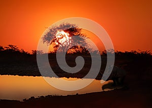 Travel in namibia from namib desert to boarder of angola