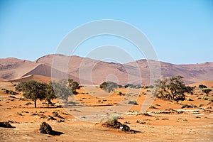 Travel in namibia from namib desert to boarder of angola