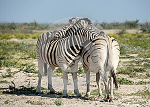 Travel in namibia from namib desert to boarder of angola