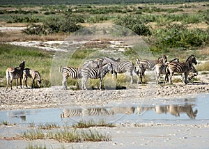 Travel in namibia from namib desert to boarder of angola