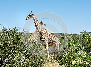 Travel in namibia from namib desert to boarder of angola