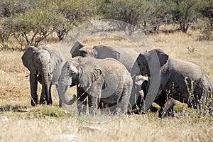 Travel in namibia from namib desert to boarder of angola