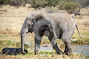 Travel in namibia from namib desert to boarder of angola