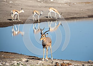 Travel in namibia from namib desert to boarder of angola