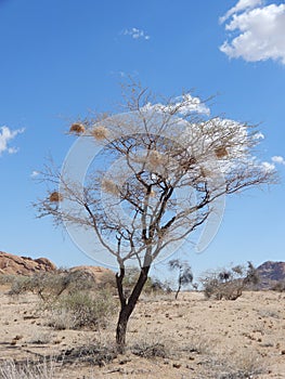 Travel in namibia from namib desert to boarder of angola