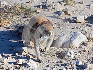 Travel in namibia from namib desert to boarder of angola