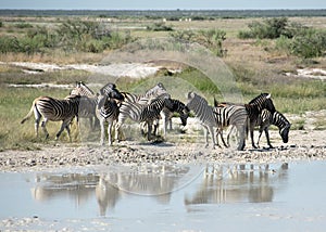 Travel in namibia from namib desert to boarder of angola photo