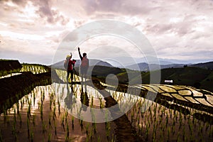 Travel nature lover asian woman and asian man walking take a photo on the field rice Sunset light in rainy season