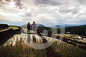 Travel nature lover asian woman and asian man walking take a photo on the field rice Sunset light in rainy season