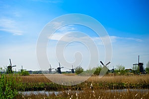 Travel in The Netherlands. Traditional Holland - Windmills in Kinderdijk - famous tourist site at sunny spring day