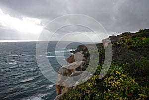 Travel on the Ocean shore island.