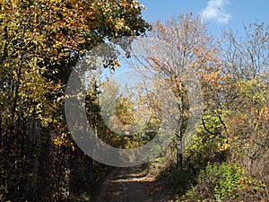 Travel through old gardens in sunny autumn