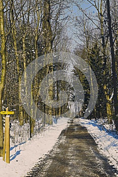 Travel path through the forrest of st. poelten in winter season photo