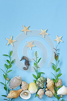 Travel pattern made of variety of sea shells