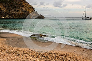 Travel photo of St. Barthâ€™s Island, Caribbean. The famous Shell Beach, in St. Barthâ€™s St. Bartâ€™s Caribbean