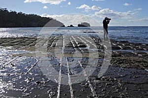 Travel photographer photographing Tessellated Pavement in Tasman Peninsula Tasmania Australia photo