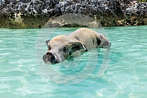 Travel photography - Bahamas.