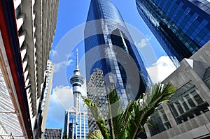 Travel Photos NZ - Auckland Cityscape