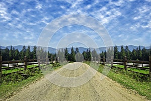 Travel road on the field with green grass and blue sky with clouds on the farm in beautiful summer sunny day. Clean, idyllic, lan