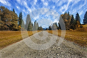 Travel road on the field with yellow autumn grass and blue sky with clouds on the farm in beautiful summer sunny day. Clean, idyll