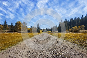 Travel road on the field with yellow autumn grass and blue sky w