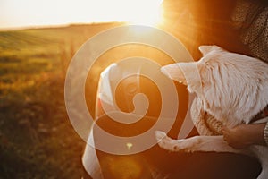 Travel and road trip with pet. Stylish woman in sweater sitting and hugging cute dog in car trunk in warm sunset light in autumn