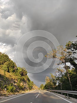 Travel Roads forest grass nature tree