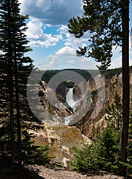 Travel Scenic of Yellowstone Falls Wyoming USA