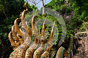 Travel Tailandia.TriÃÂ¡ngulo Golden-headed dragons ladder photo