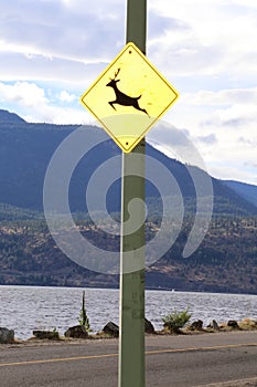 Travel to Canada-Wildlife sign- billboard or front cover for magazines
