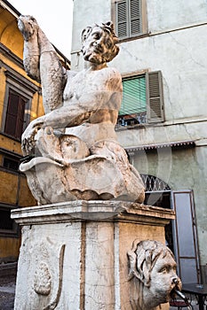 medieval Fontana del Delfino in Bergamo city photo
