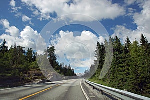 Travel to Norway, a direct asphalt road goes through the forest under a beautiful cloudy sky