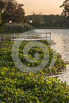 Travel to a portion of river with a natural scenery of sunset over a dock with lights photo