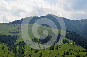 Travel to Romania: The green hills in Bucovina