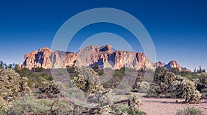 Travel tourism photo of Arizona scenic desert landscape,USA