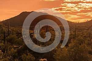 Travel tourism photo of Arizona Sun sets over Arizona desert landscape near Phoenix ,Az,USA