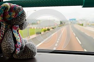 Travel toy bear